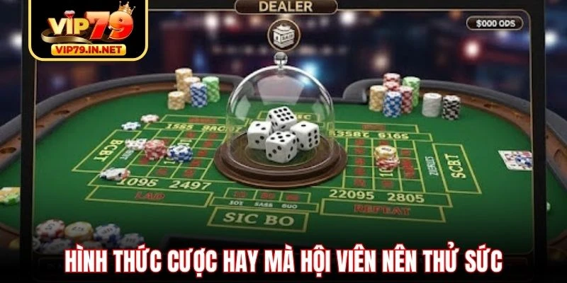 Hình thức cược hay mà hội viên nên thử sức Hình thức cược hay mà hội viên nên thử sức